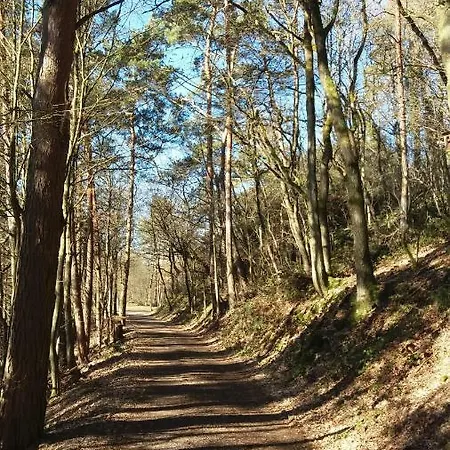Eifelverweiler بيت للعطل